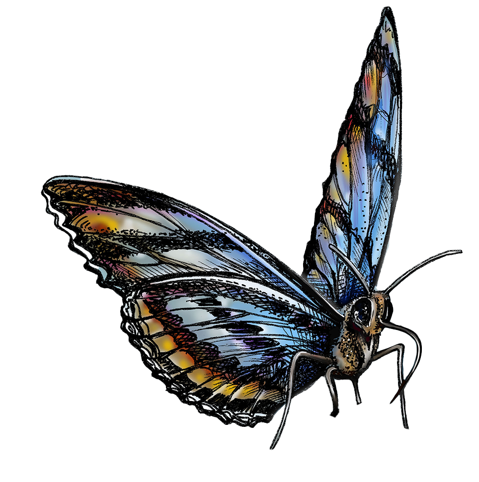 Papillon Journée TDAH 2025